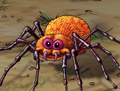 Ørkennat med edderkopper - Detalje